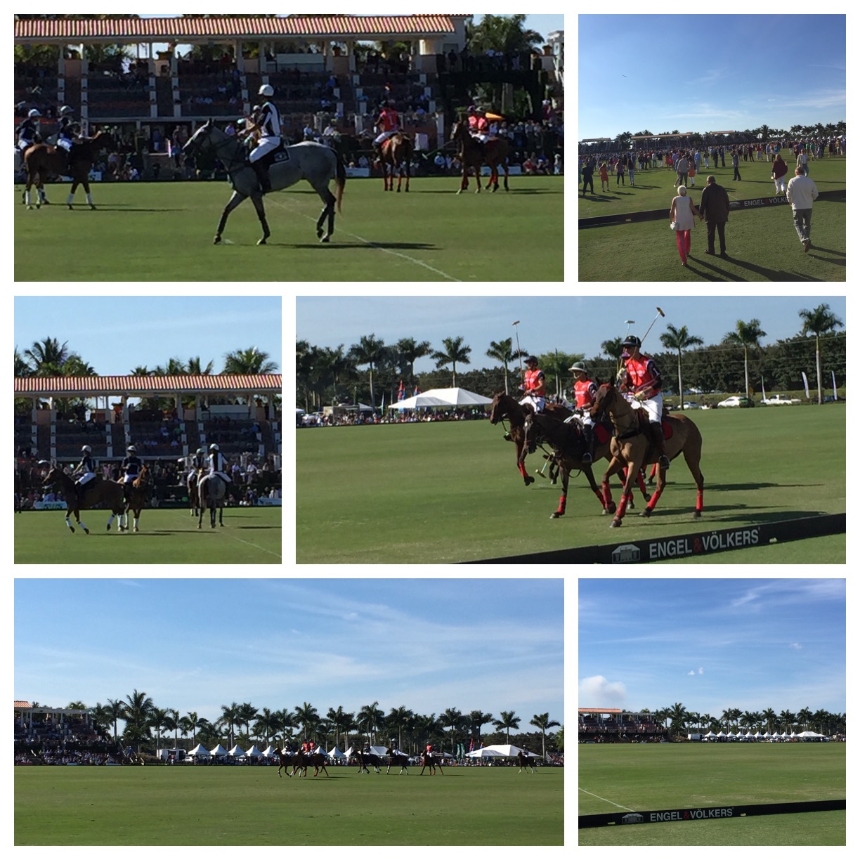 IPC Polo Photos | Eat Palm Beach | Everything that matters about food